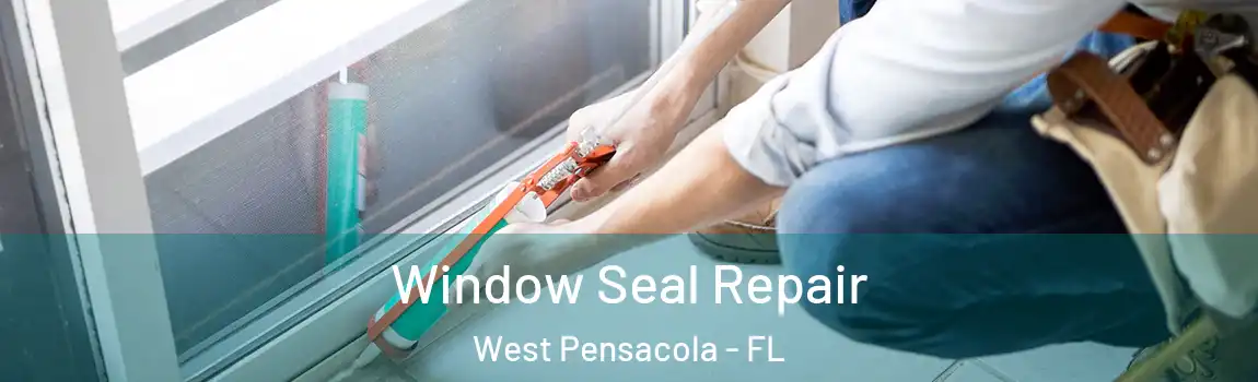  Window Seal Repair West Pensacola - FL